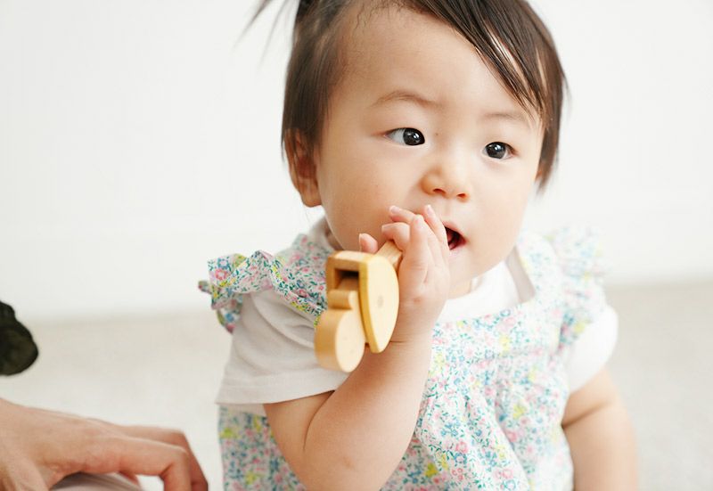 送料無料（沖縄配送） 木のおもちゃ 赤ちゃんセット なかよしライブ